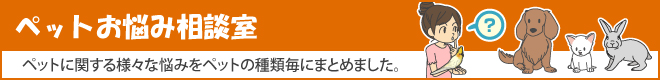 ペットお悩み相談室